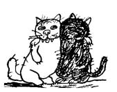 drawing of two cats