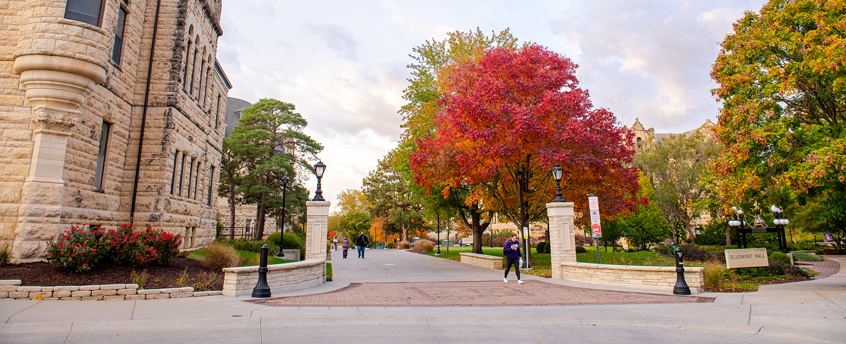 View of campus in fall