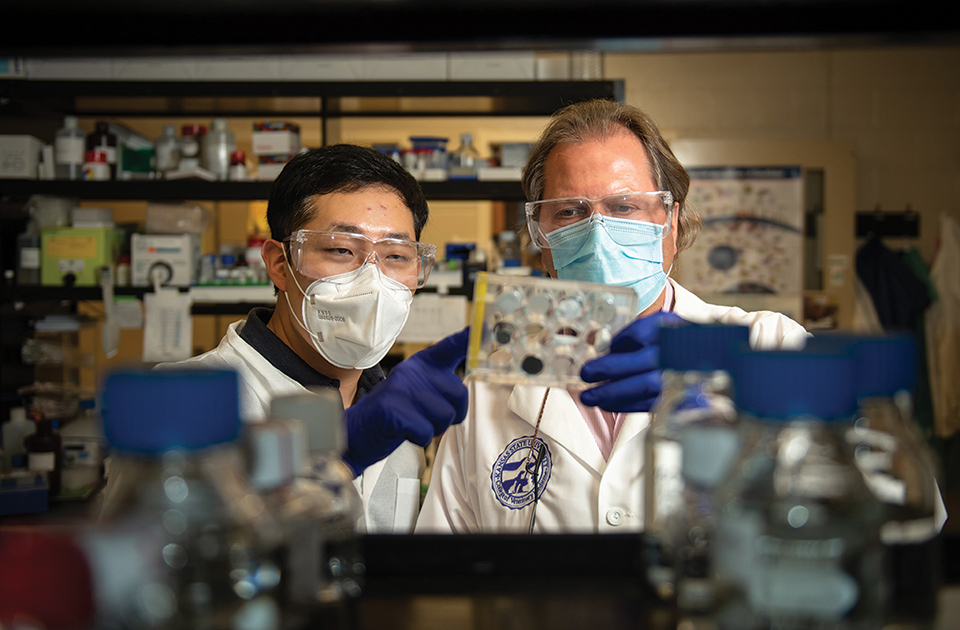 A pair of veterinary researchers wearing face masks examine a sheet inside a lab.