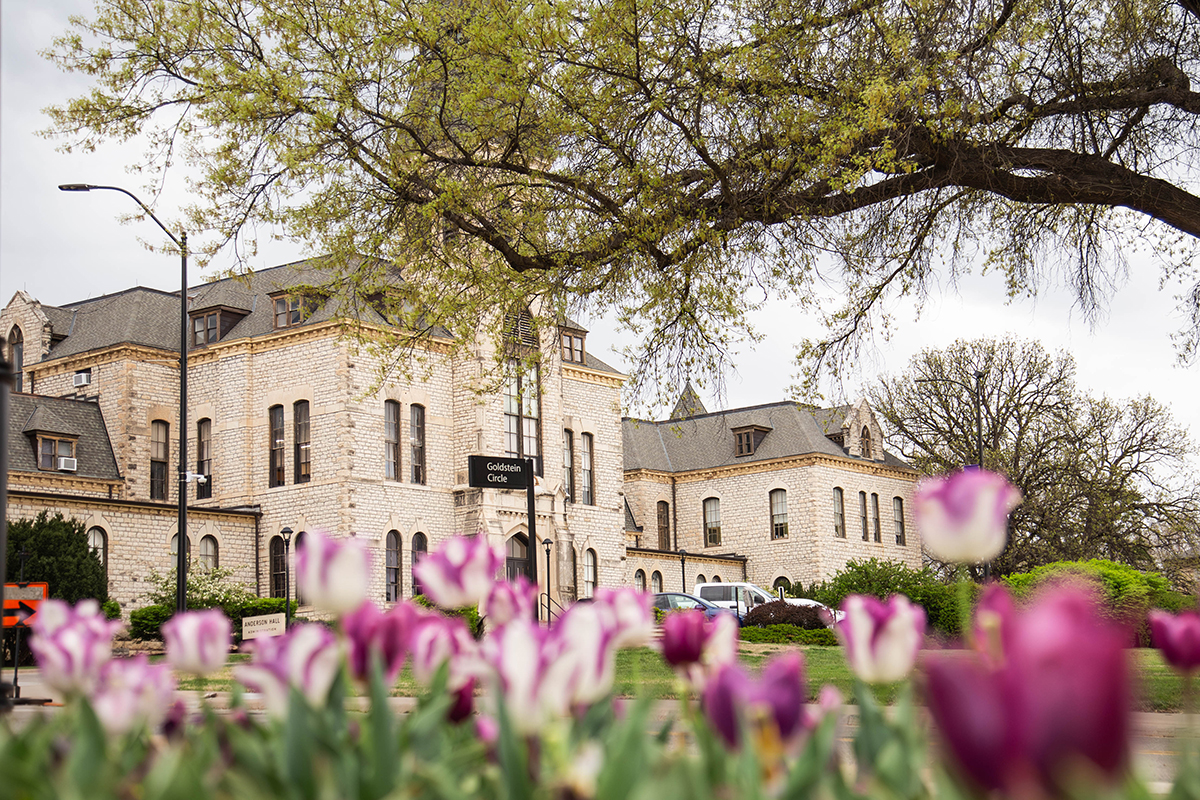 Purple tulips bloom in the foreground as a limestone college building rises over the far background.