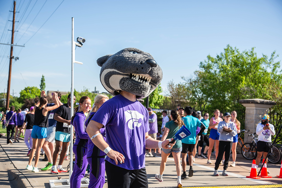 Willie the Wildcat mascot wearing a purple Kansas State University shirt with the Powercat logo interacts with participants at the Run for the Roses 5K.