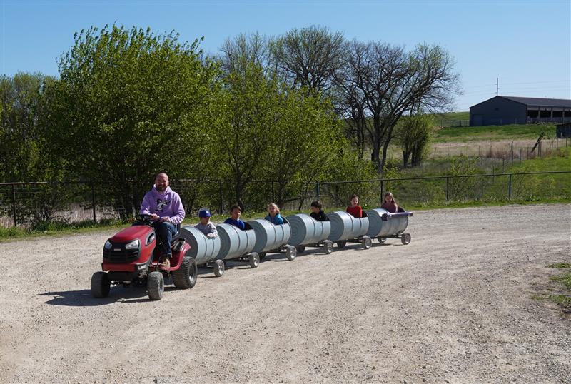 ALT Text: A Kansas State staff member in a purple shirt drives a lawn tractor pulling barrel train cars with children riding through the agricultural campus grounds. 