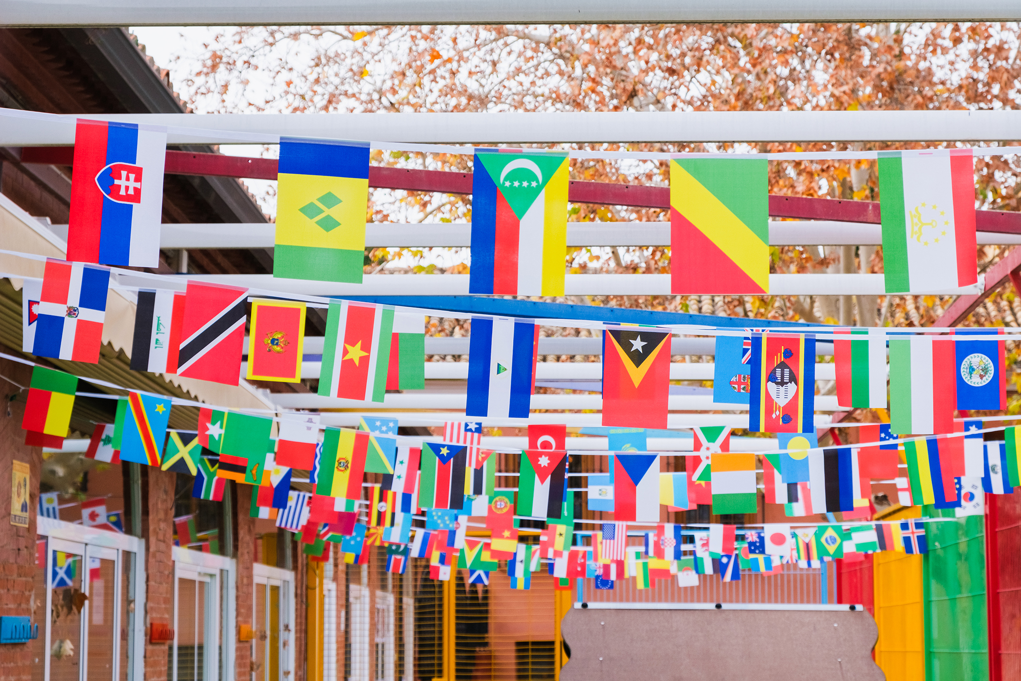 Various small, colorful country flags hang in an outdoor area.