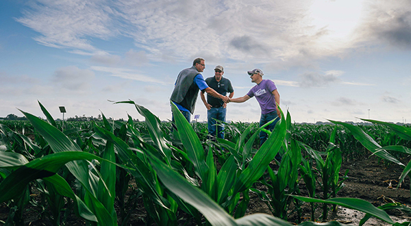Men meet in a crop field under a cloudy sky.