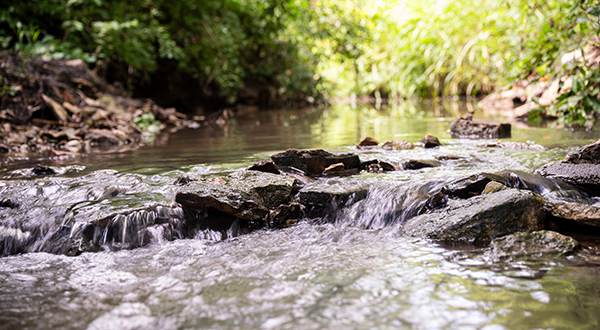 Water flowing over rocks in a campus creek