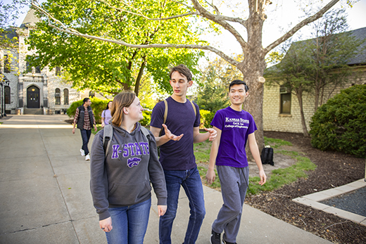 Sample A group of three students, wearing purple, walk and talk down a long, tree-shaded walkway as limestone buildings surround them.